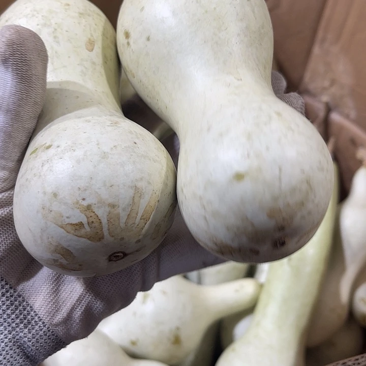 君**交那时候是真的爱着