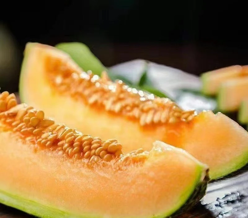 伽师县八六王哈密瓜的一种