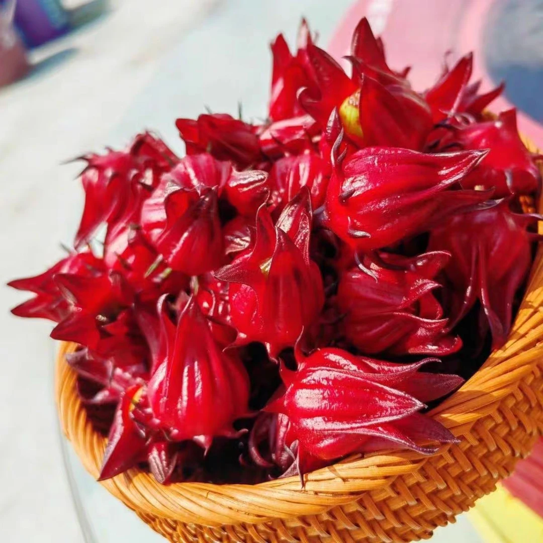 2025新鲜洛神花现摘玫瑰茄红桃K可泡酒花茶果脯蜜饯酵素原料