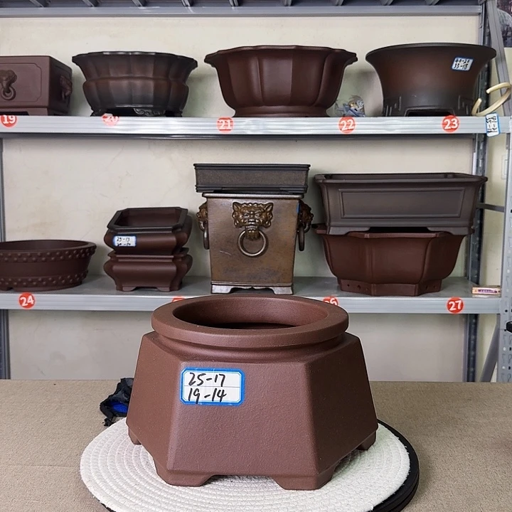 紫砂花盆紫砂花开