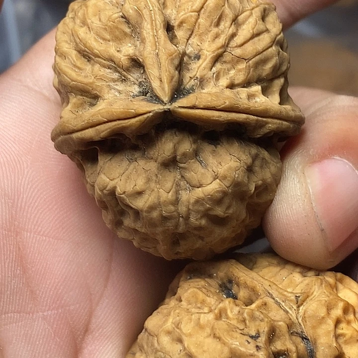 文玩核桃把件云南铁核桃90