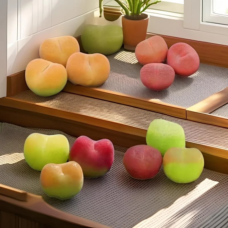 700-750精美多肉植物盆栽好看带盆土易养活耐旱