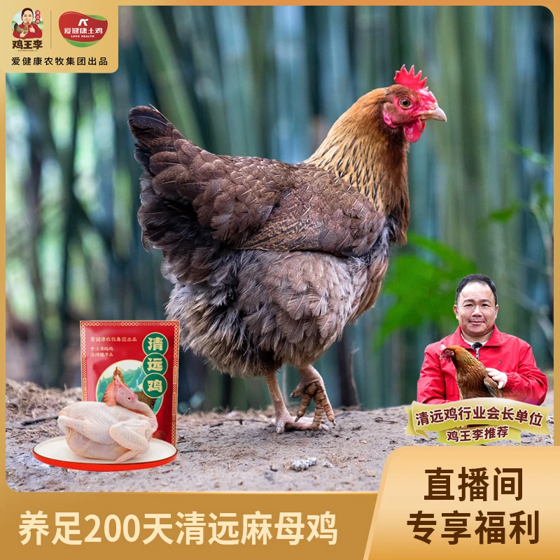 【冷冻锁鲜】鸡王李正宗清远鸡1kg*2生态散养鸡味浓郁生态养殖