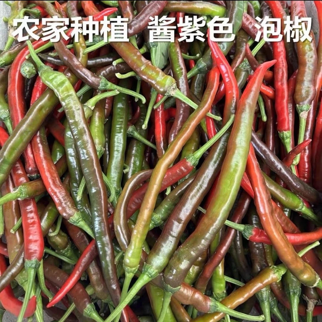 中辣】湖南本地新鲜土山辣椒自种包邮青紫红辣椒可做酸辣椒剁辣椒