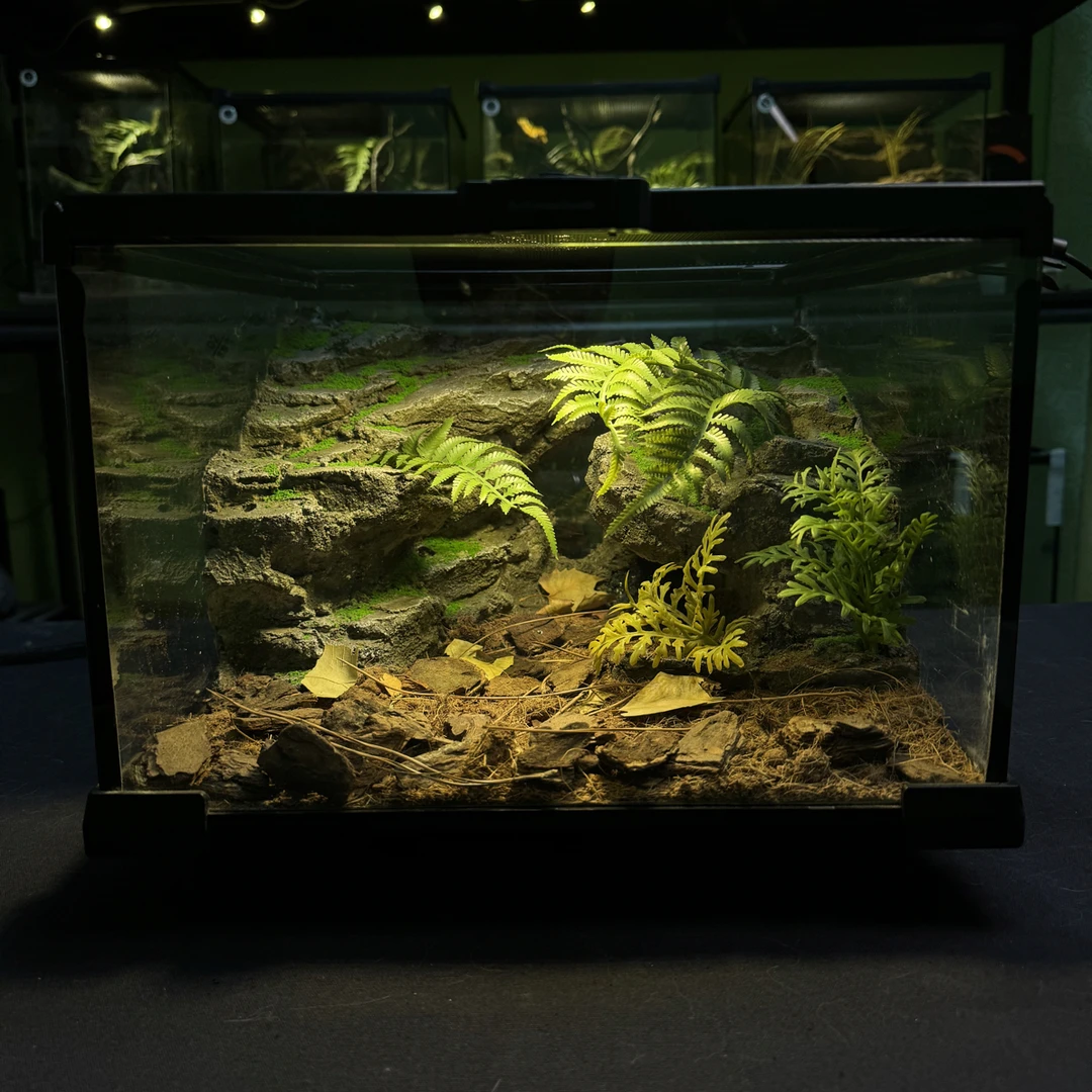 爬宠造景缸生态爬虫饲养缸守宫30.30.20