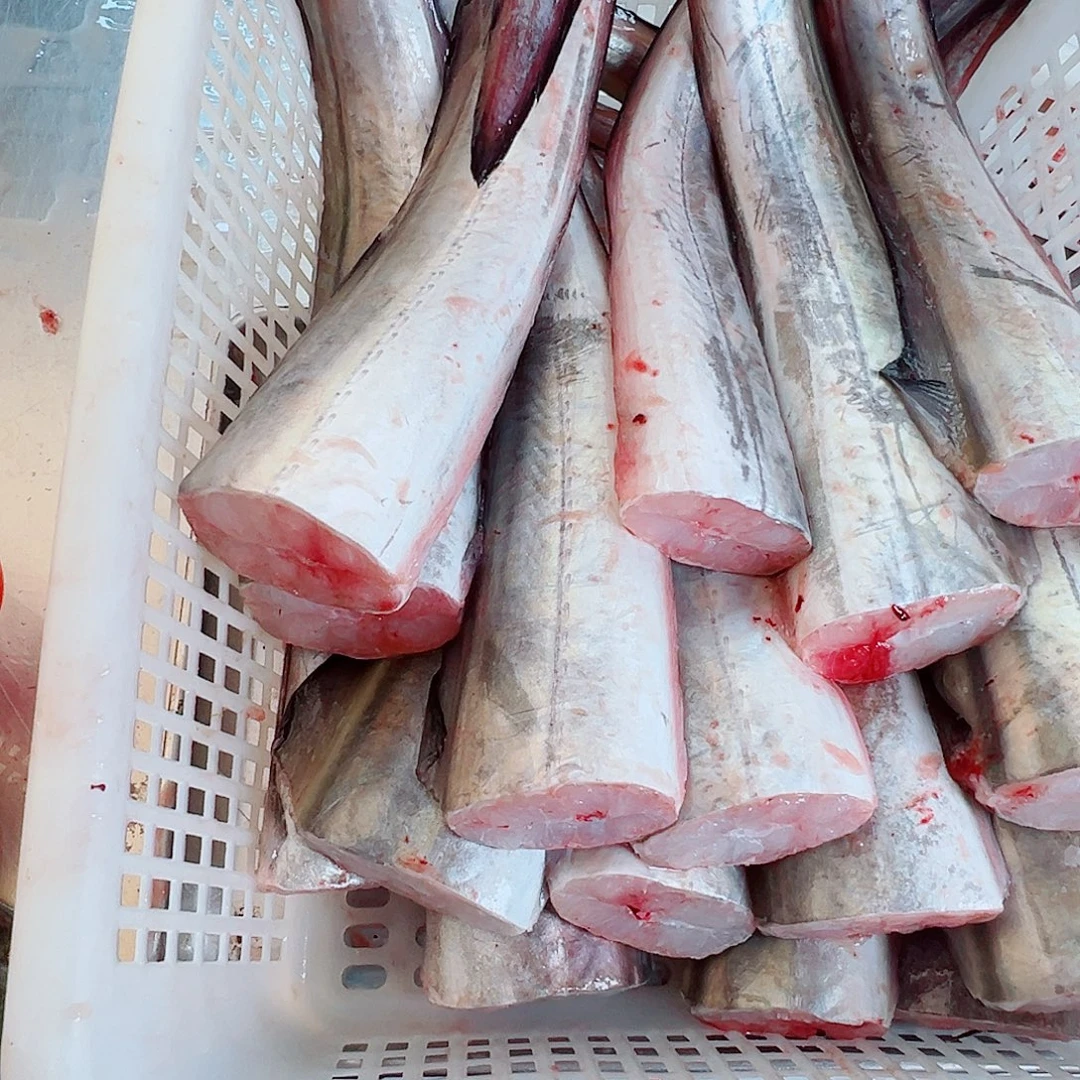 中国大陆鳗鱼鱼尾8斤