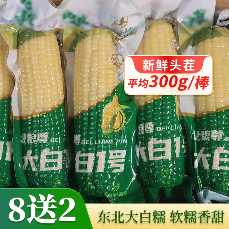 【2024头茬】正宗东北甜糯粘玉米新鲜食用粘糯玉米棒大白糯早餐代餐
