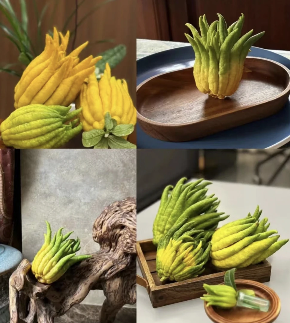 鲜花 1个佛手700-900g 不支持已发货退款