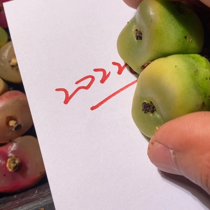 暖*20228一个一个一个