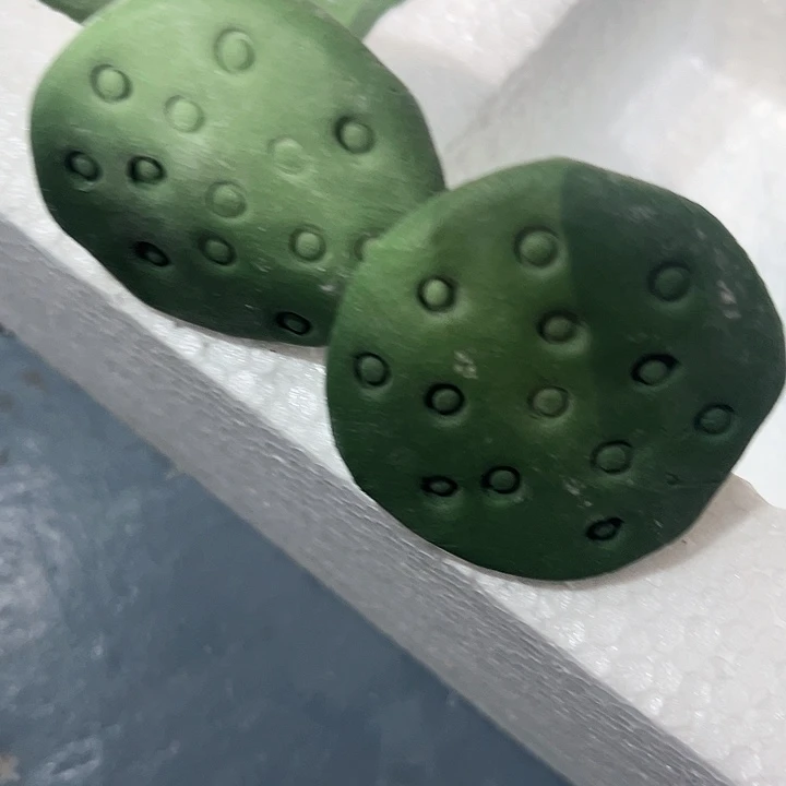 正品睡连一套，拍五发六，