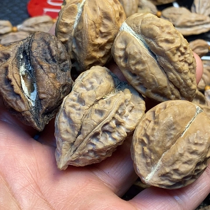 吊坠文玩核桃娜姐31