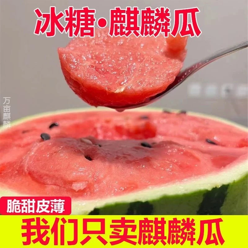 417（3）【顺丰次日达】云南麒麟西瓜包脆包甜新鲜季节水果云南省云南省
