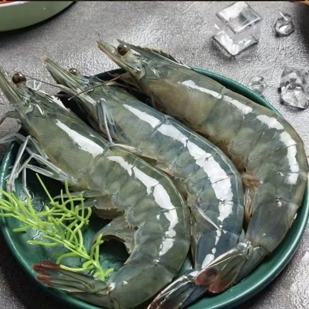 4斤海水大虾13-16厘米/只 12-15只/斤 整盒4斤 薄碎冰锁鲜 楠