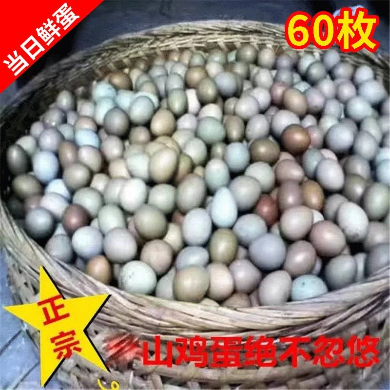 60枚七彩山鸡蛋 新鲜正宗农家散养 破损包赔