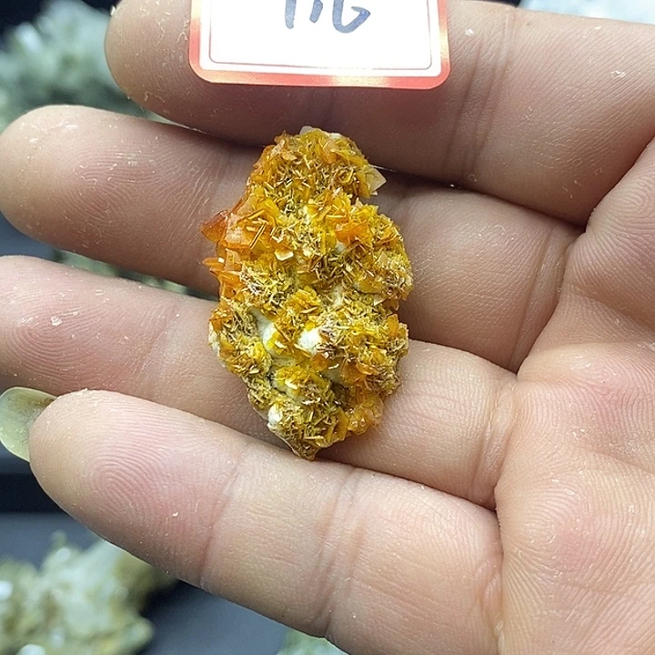 有机玻璃钼铅矿116