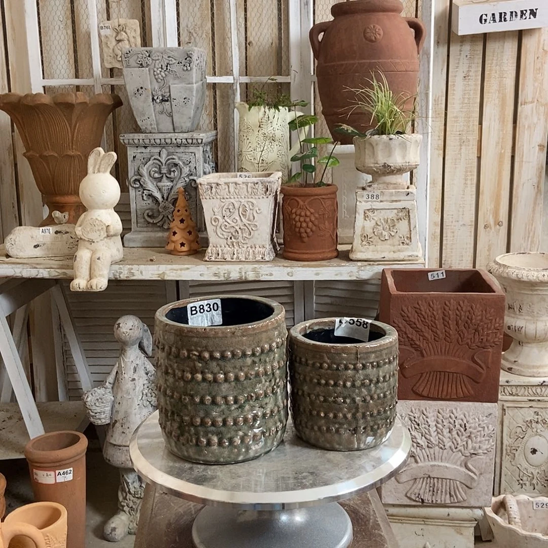 福利一大一小1111111