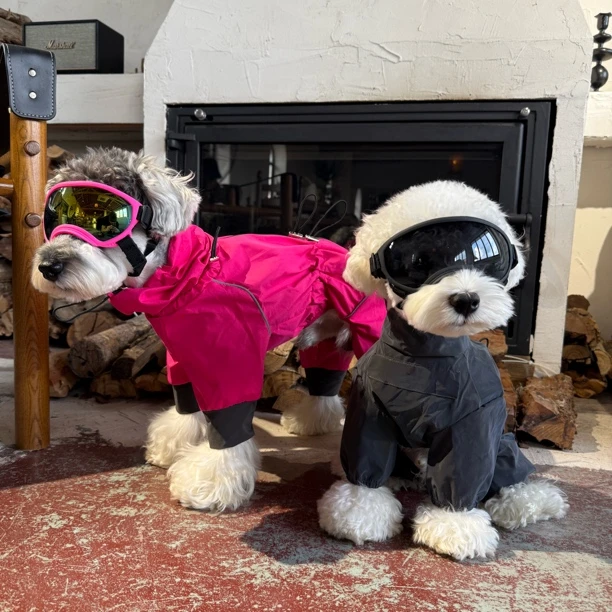 狗狗防雨四脚衣雪纳瑞比熊泰迪柴犬西高地宠物衣服雨衣