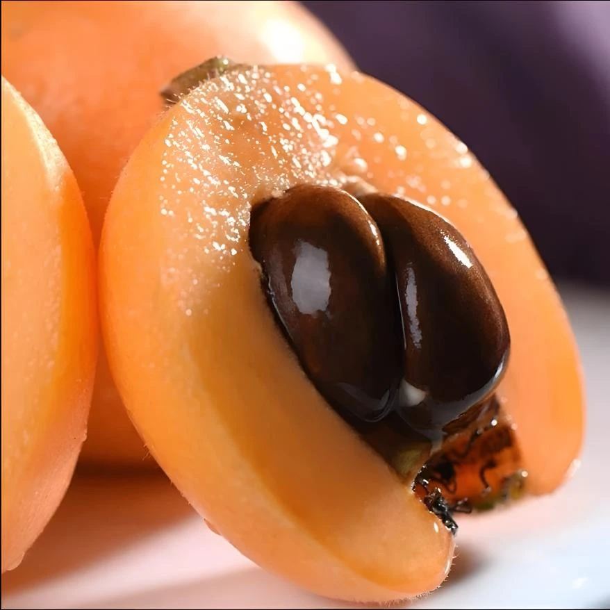 大五星枇杷新鲜现摘产地直发当季鲜果优质好果