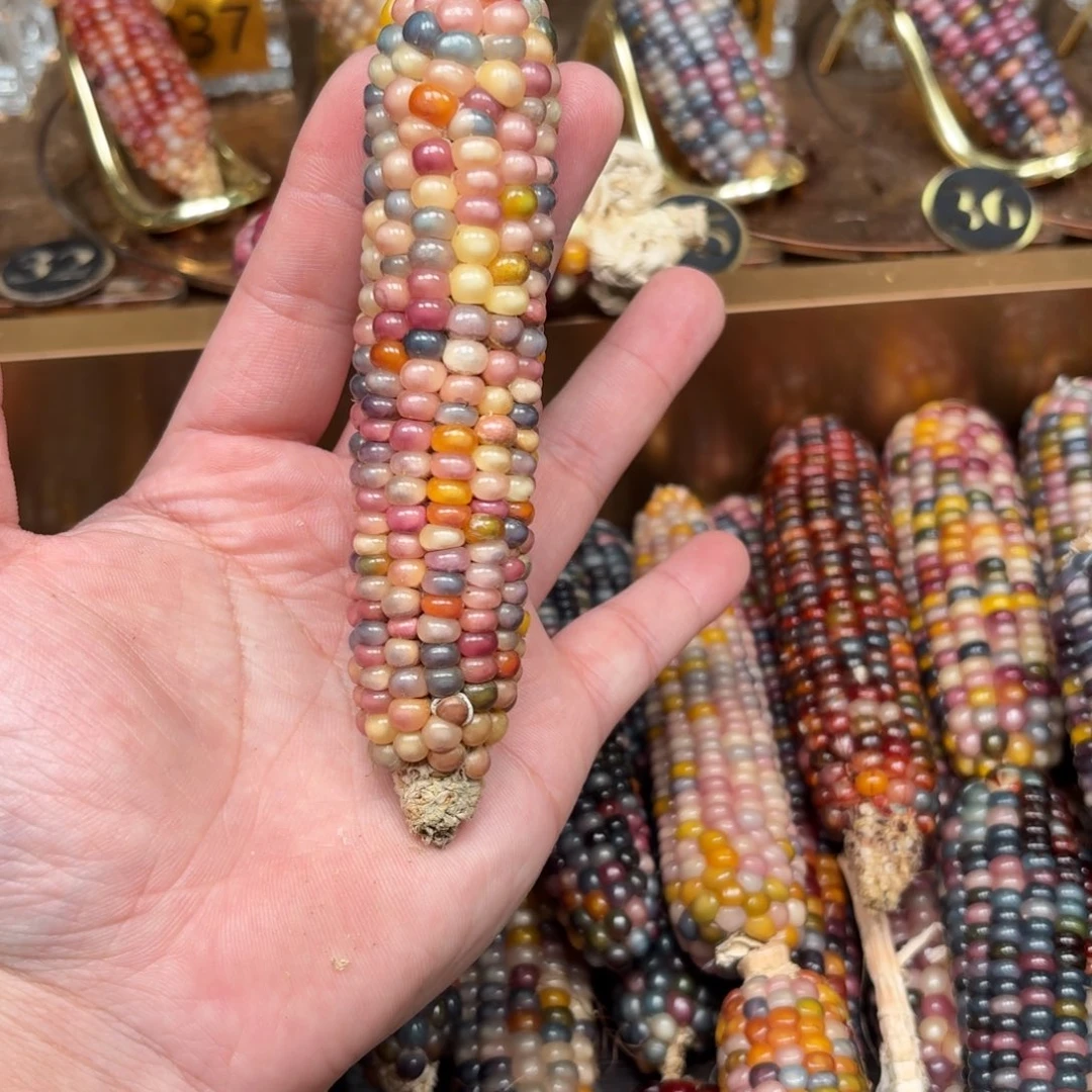 柏香籽/百香籽吊坠明***休