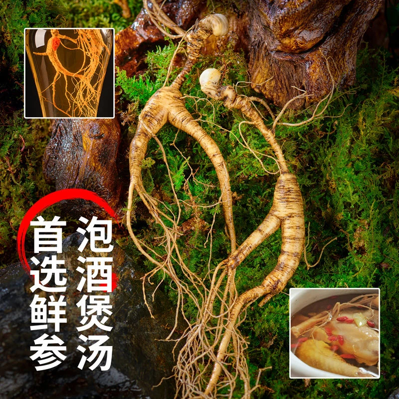 【福临】长白山野山参鲜参林下参山货一物一拍