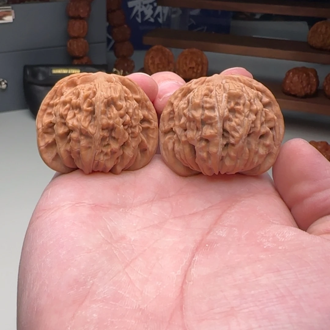 L42-36-34一代楼C16号