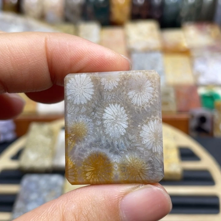 硅化玉未镶嵌颈饰k71