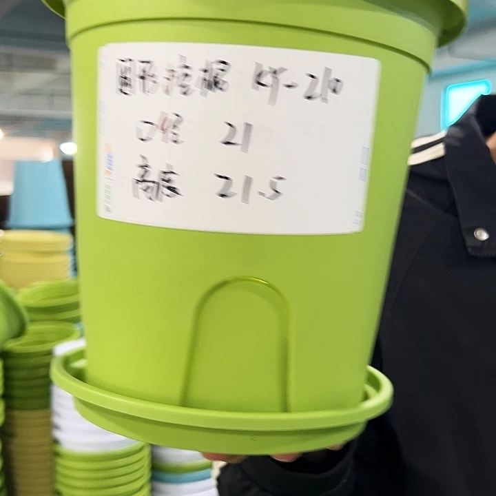 正品圆控口21高21果绿带托8只