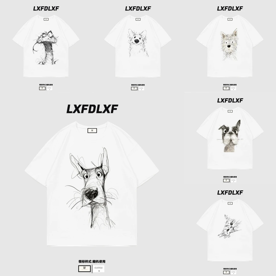 【多图案可选】LXFDLXF 门店货 2025新年款 宽松版型 短袖T恤