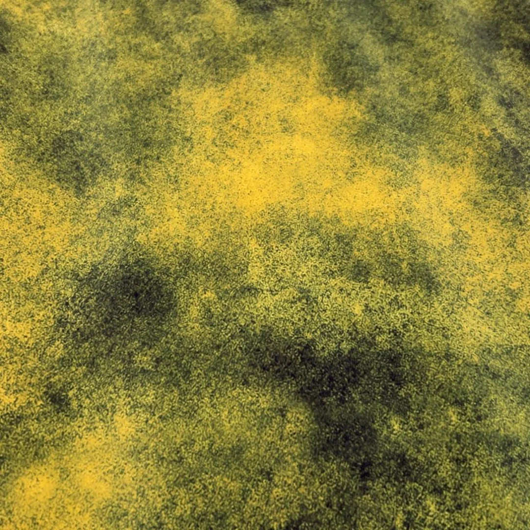 棉一米价纯棉定制贡缎微弹1.5米宽D区