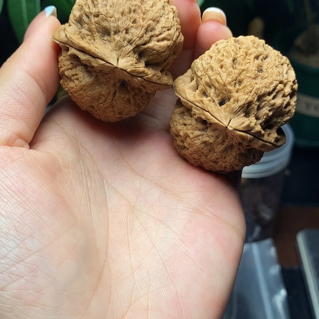 文玩核桃把件麒麟纹45mm