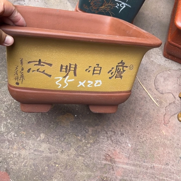 花盆紫砂宜兴紫砂