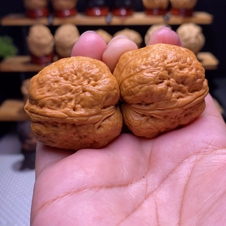 木质类云铁平头蟾15号37尺