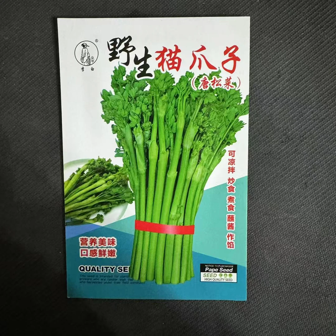 李白野生猫爪子唐松菜种子