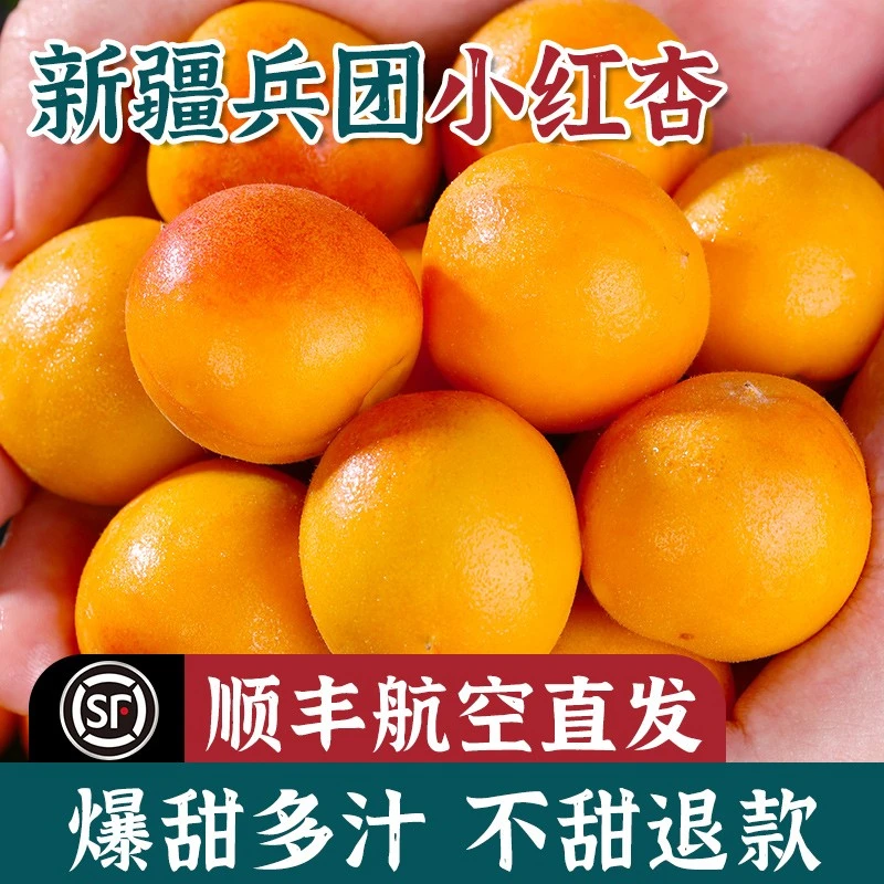 【新疆直发】现货正宗新疆小红杏新鲜水果当季整箱库车甜杏子胜吊干