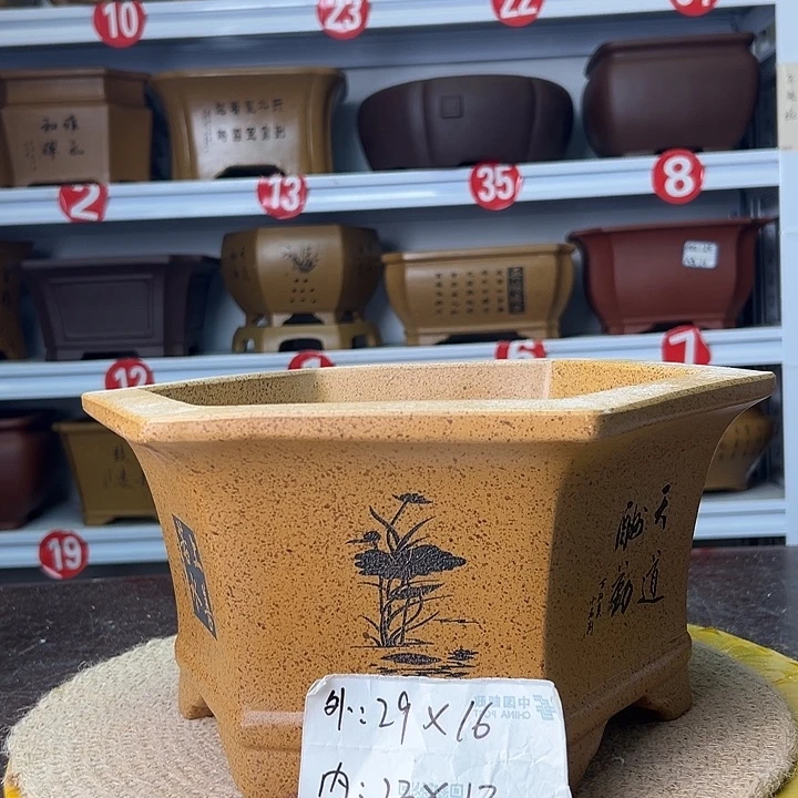 花盆紫砂蛇年大吉