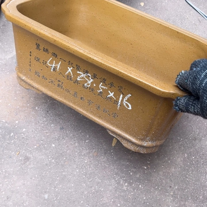 花盆紫砂紫砂花盆