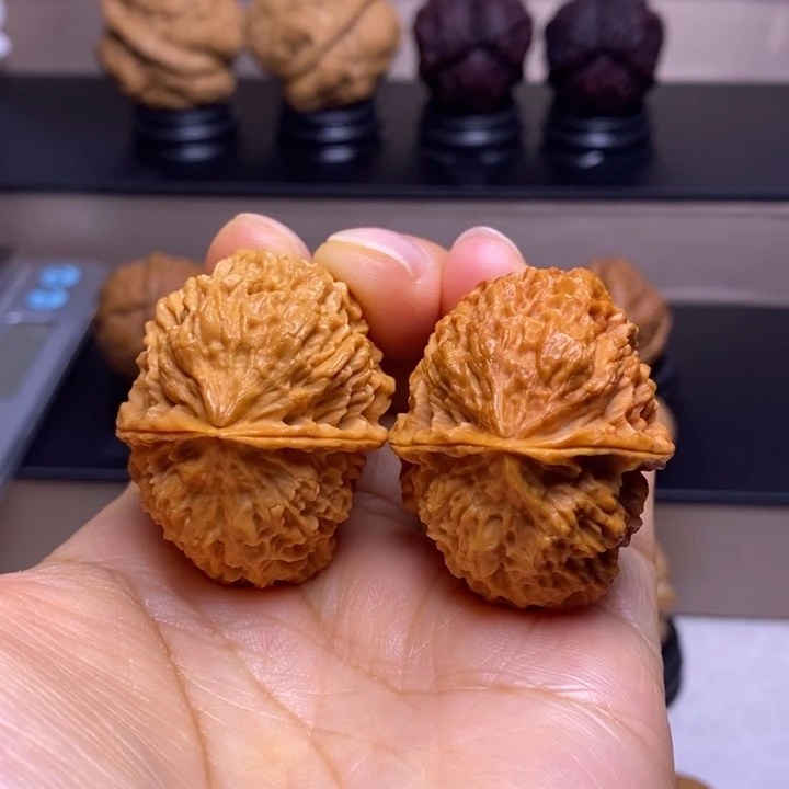 文玩核桃把件珊瑚石44