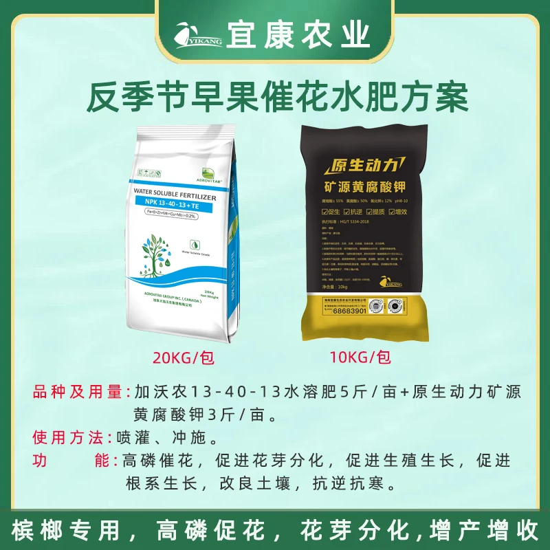 反季节早果催花水肥方案10-11月高磷水溶肥20KG黄腐酸钾10KG
