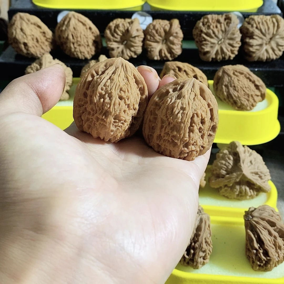 木质类今天的我是个