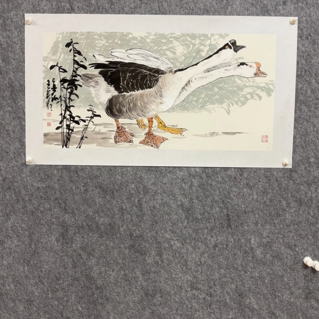 不***鸟国画陈老师健健康康快快乐乐