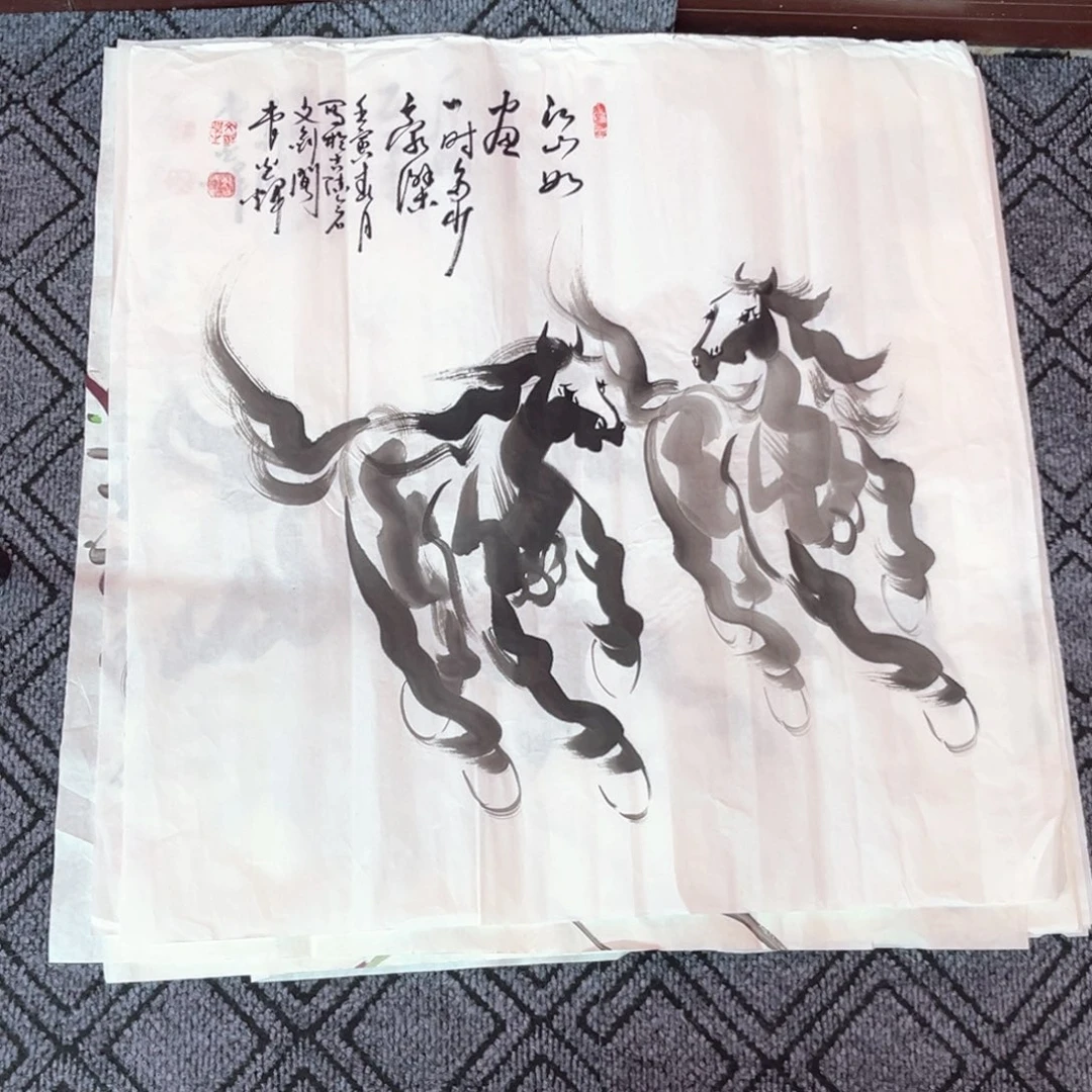 国画蔡光辉老师四尺斗方花鸟作品赵