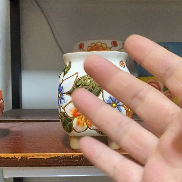 韩式多肉植物花盆