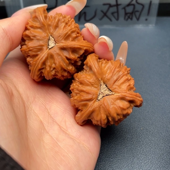 执***生文玩核桃吊坠白狮子