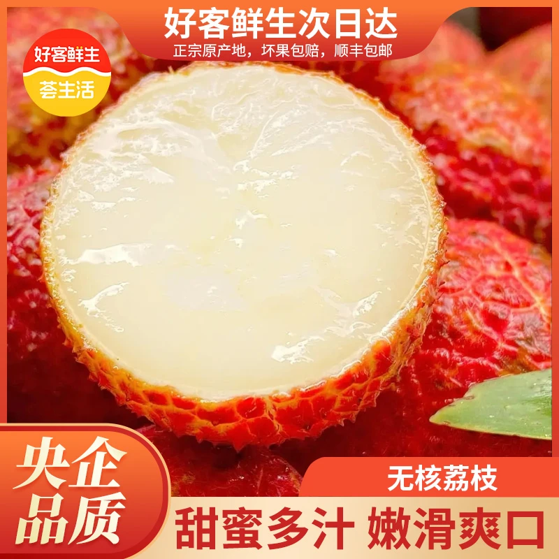 【次日达】正宗海南无核老树荔枝新鲜荔枝同城送——D