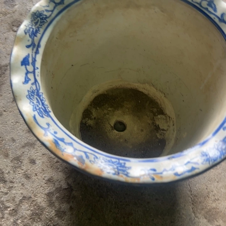 佛**哥我们都是好孩子呀