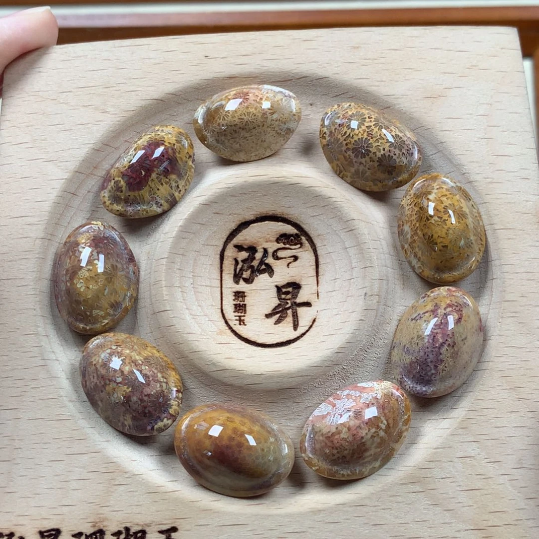 未镶嵌龟背25/个，可挑。03硅化珊瑚（珊瑚玉）