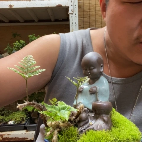 红陶一物一拍所见即所得54