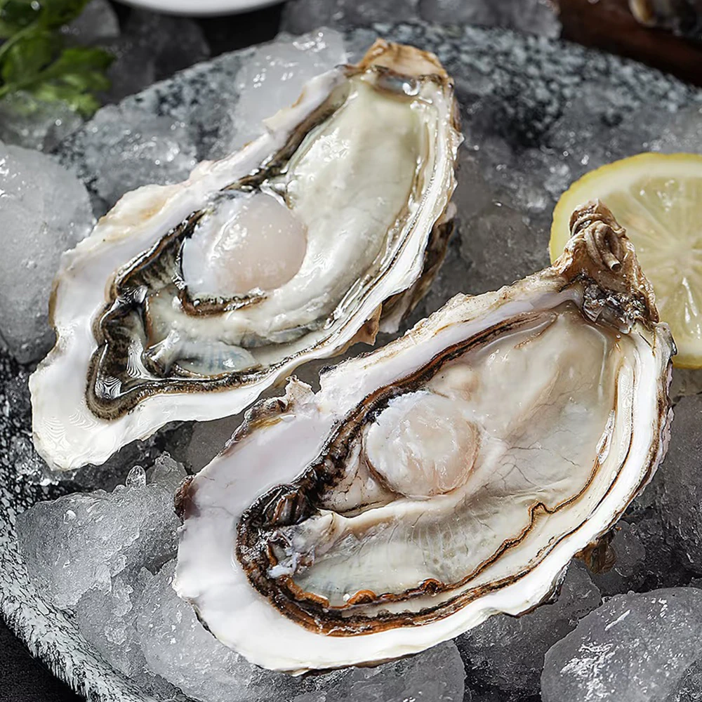 正宗鲜活大连冷水生蚝海蛎子5斤【买3斤送2斤】包邮生蚝批发海鲜