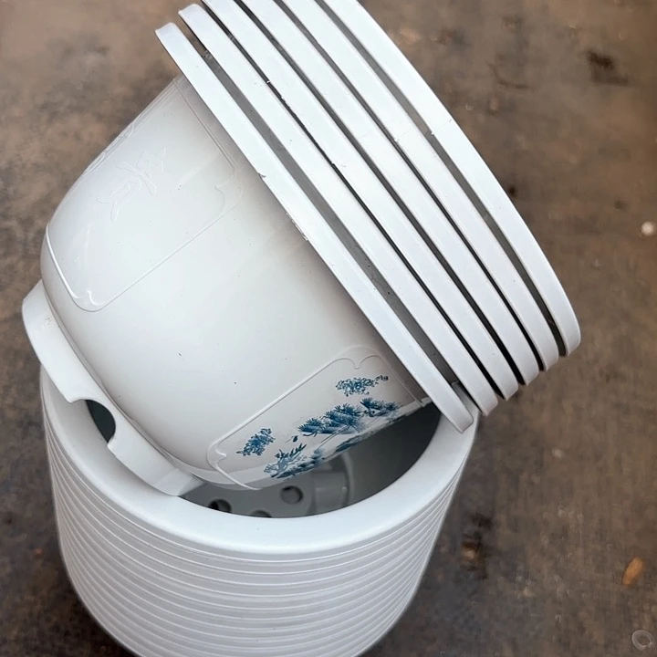 16公分花开富贵盆10个