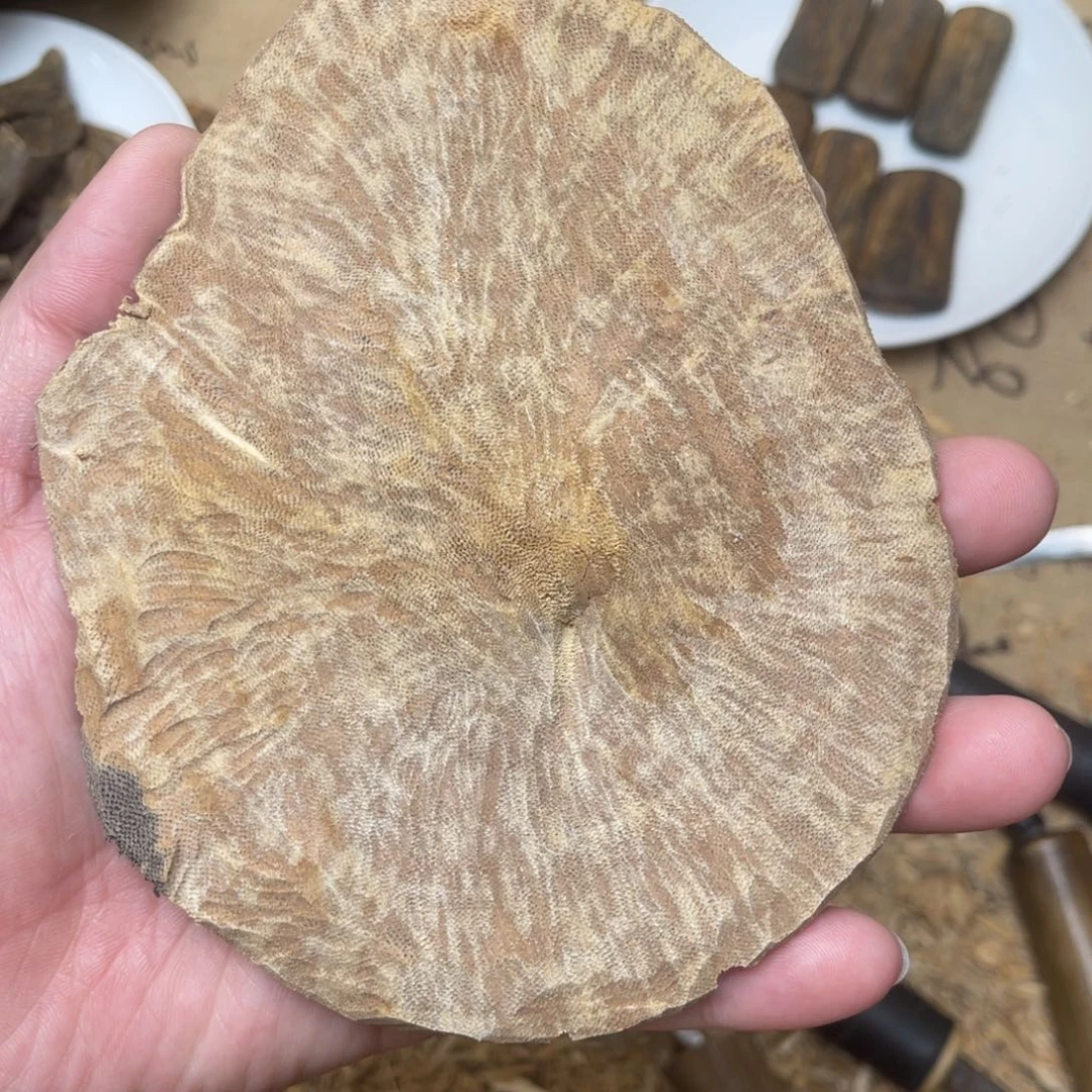 香料海南沉香野料板头薰香料17克